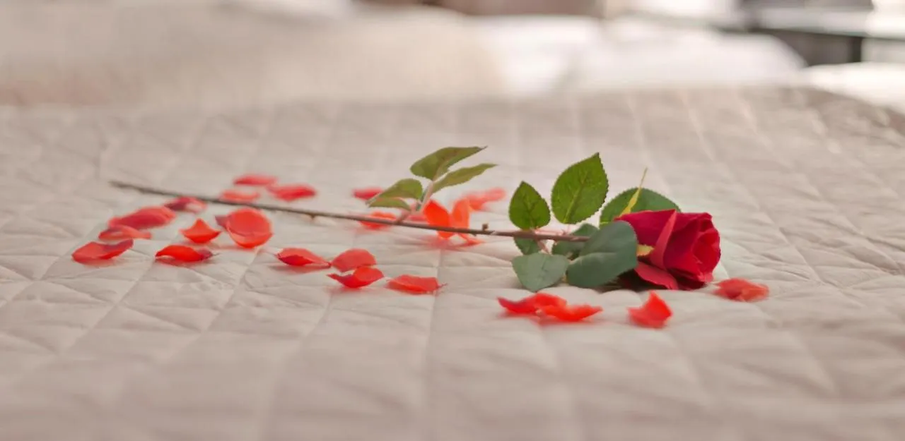 ** Hotel Hotel-Chao Nl 24 Hours Open Netherlands